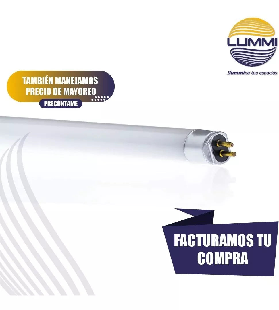 Tubo fluorescente 4W Luz Negra T5 (FL4BLB) – Lummi